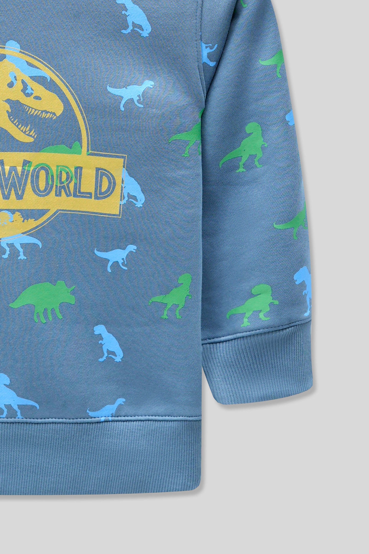 Boys Rotary Print Sweatshirt – Fungi