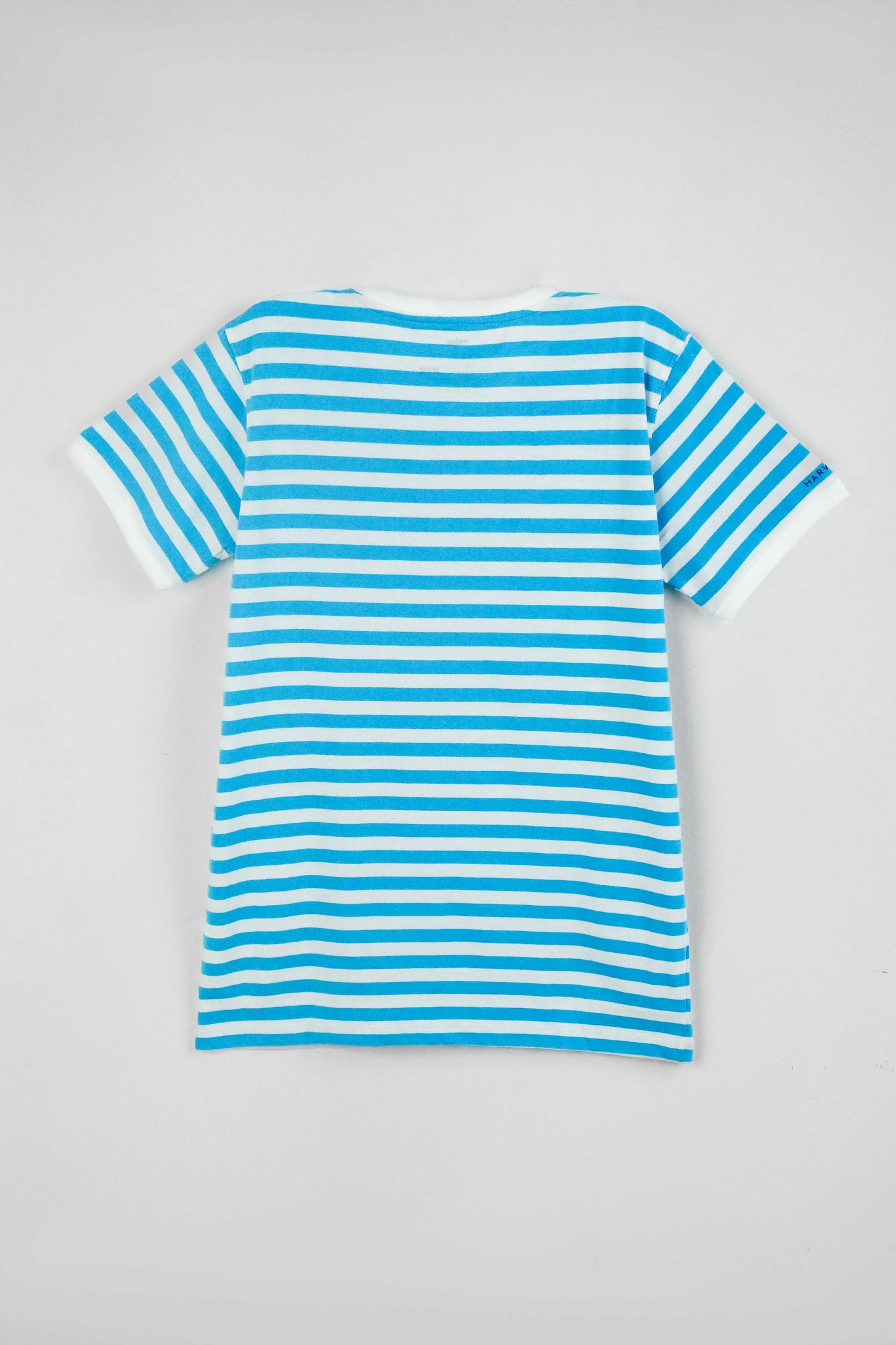Men's Yarn Dyed Striped T-Shirt - Cyan Blue