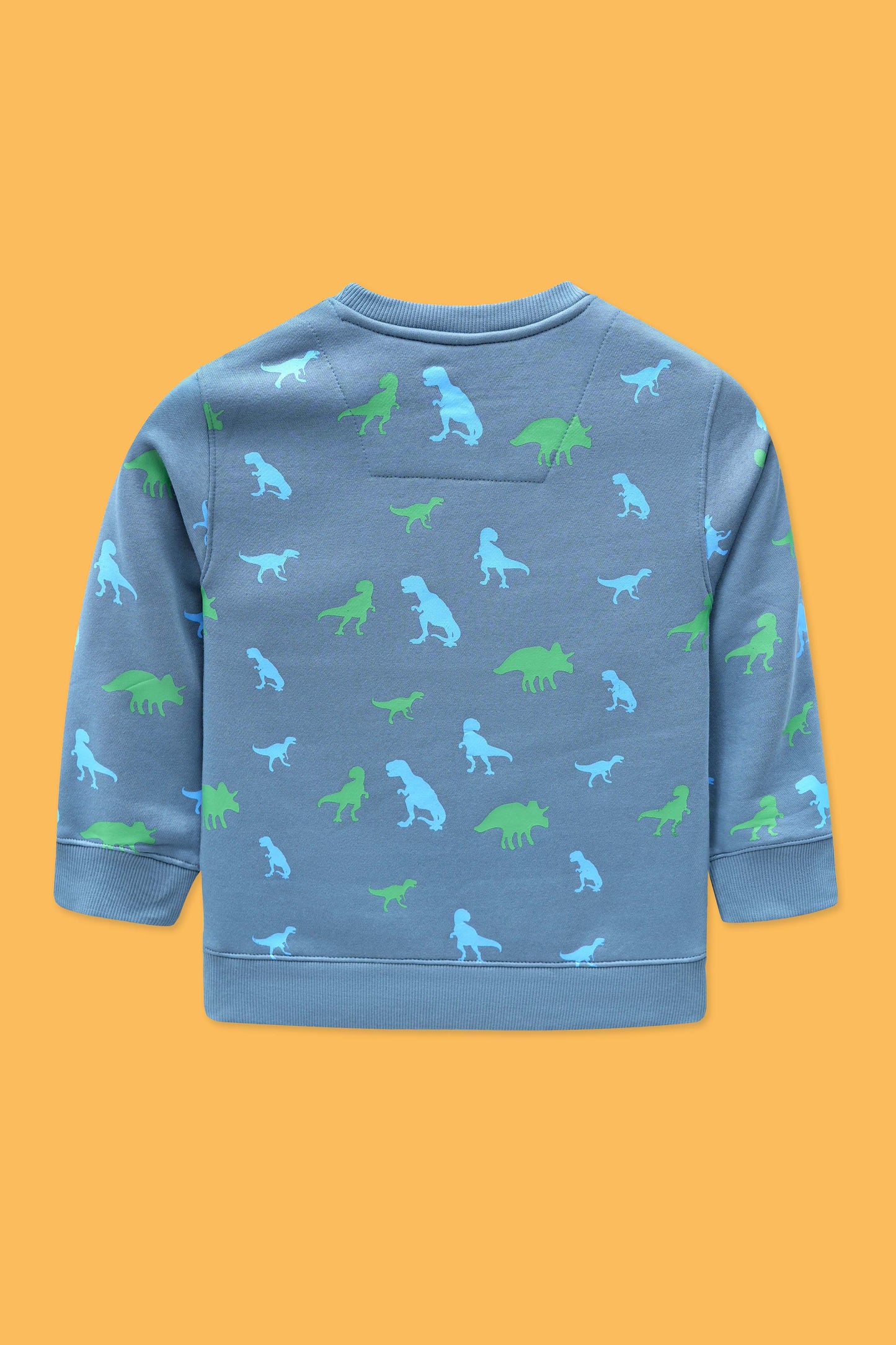 Little Boys Rotary Print Sweatshirt – Fungi
