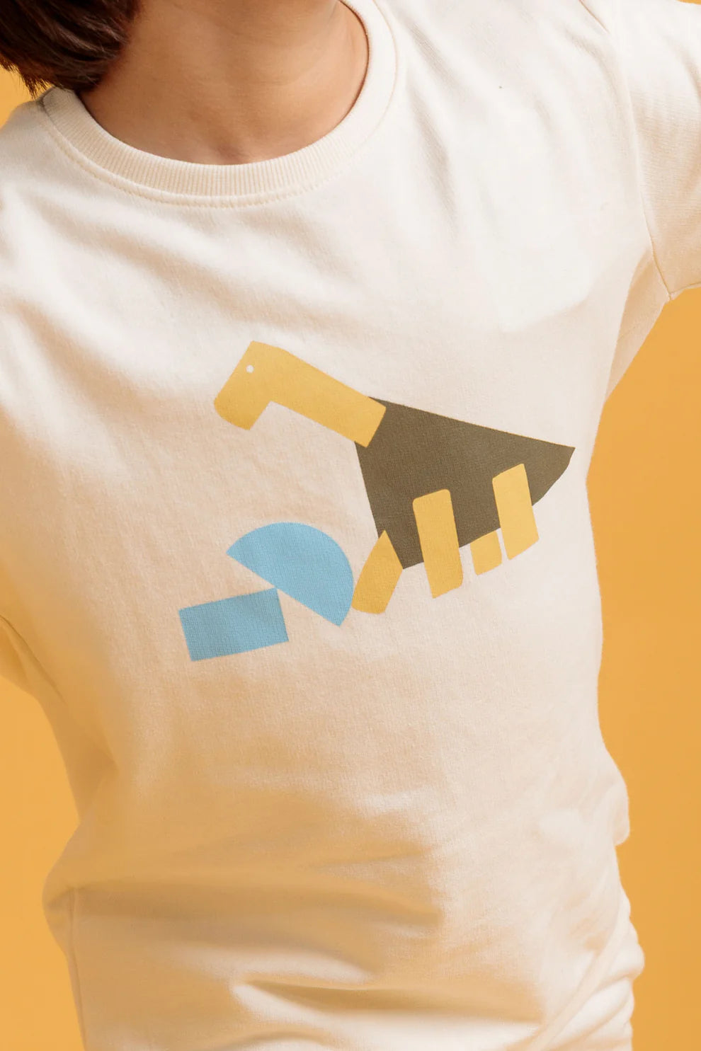 Junior Boys’Two-Piece Outfit - Pristine