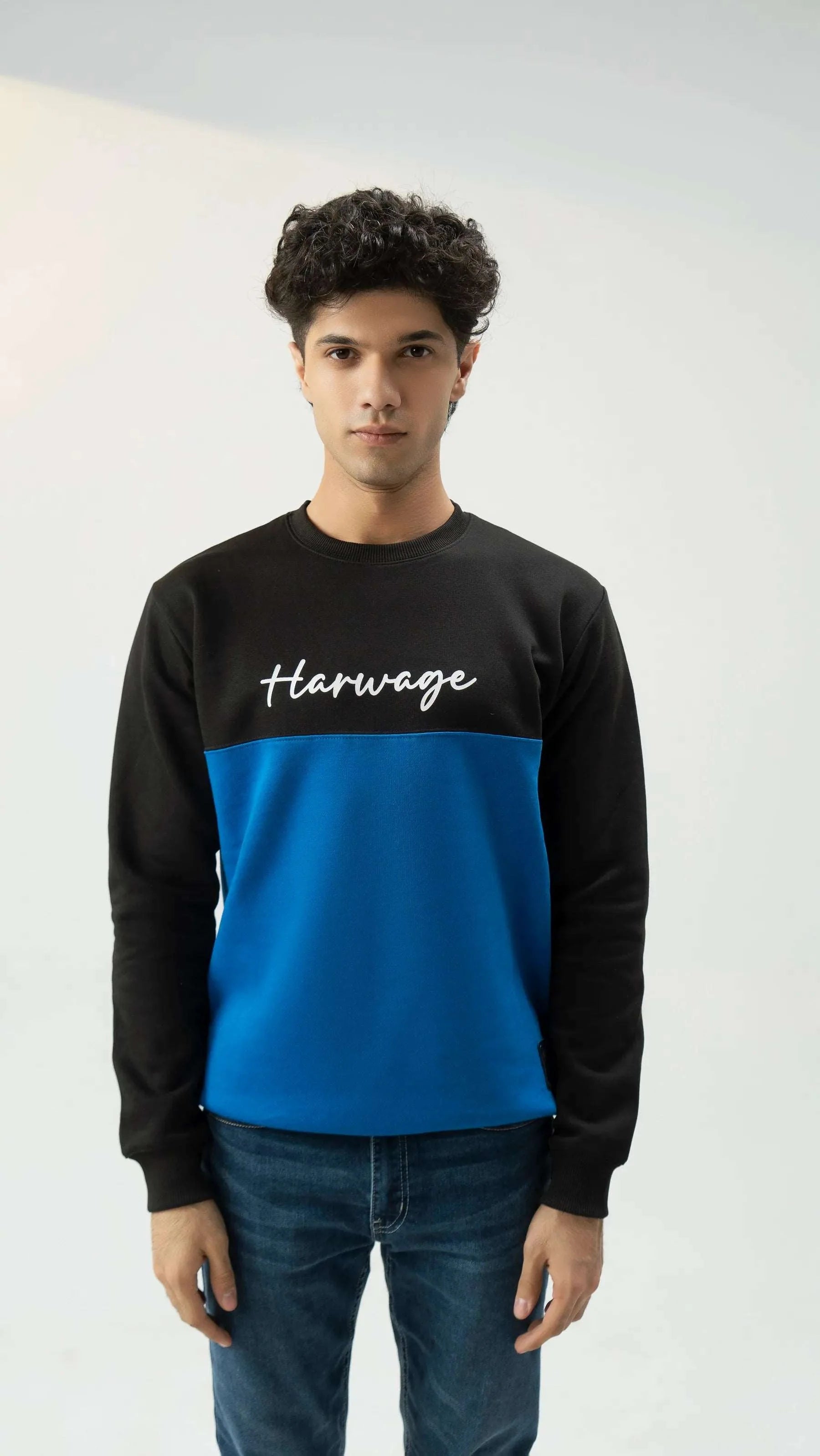Men Sweatshirt Regular Fit - Blue - Harwage