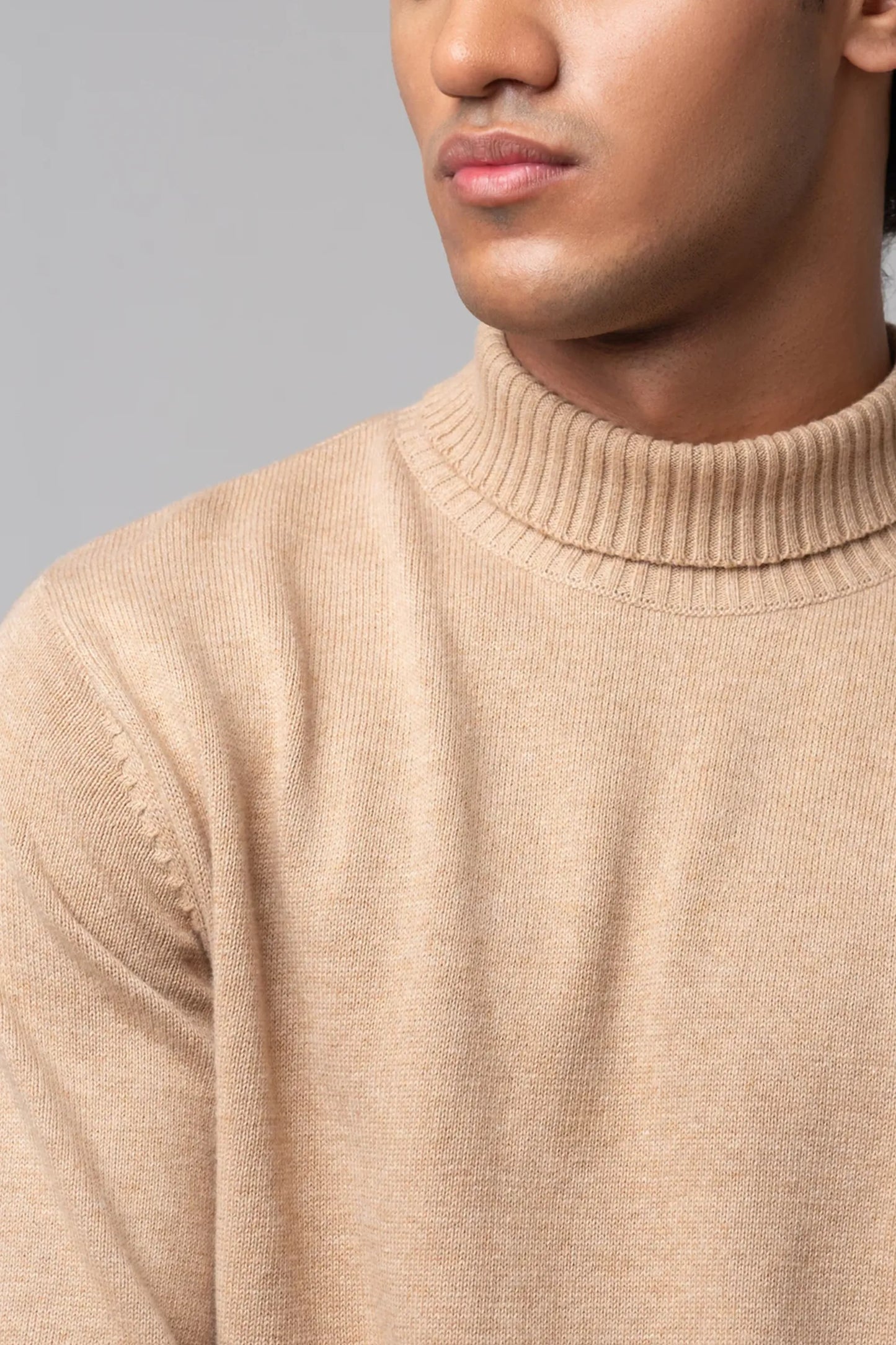 Neck and collar close detailing turtle neck sweater beige texture