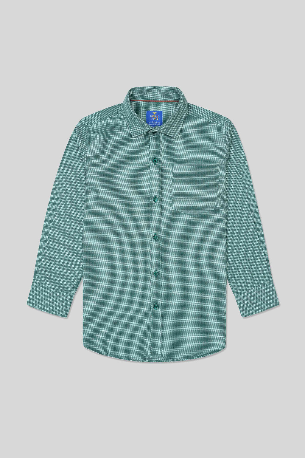 Boys Full Sleeves Casual Shirt - Green