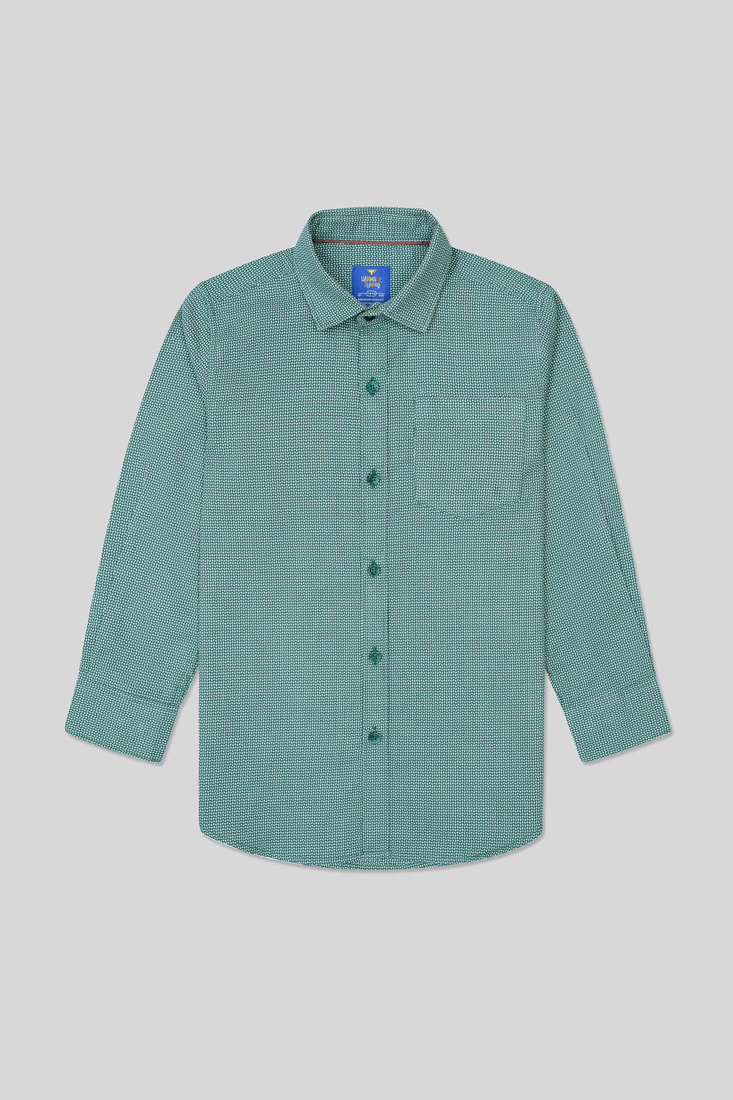 Boys Full Sleeves Casual Shirt - Green