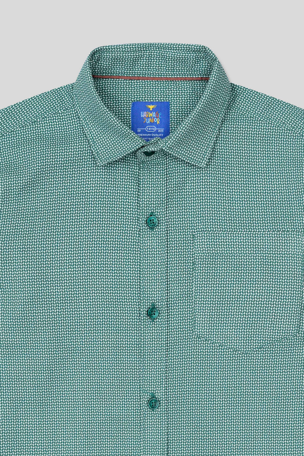 Boys Full Sleeves Casual Shirt - Green