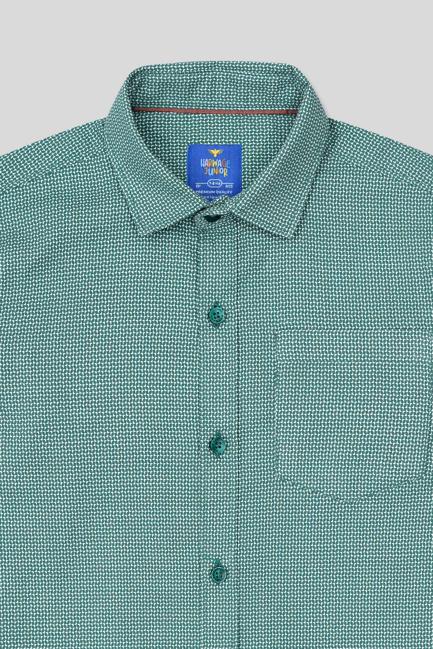 Boys Full Sleeves Casual Shirt - Green
