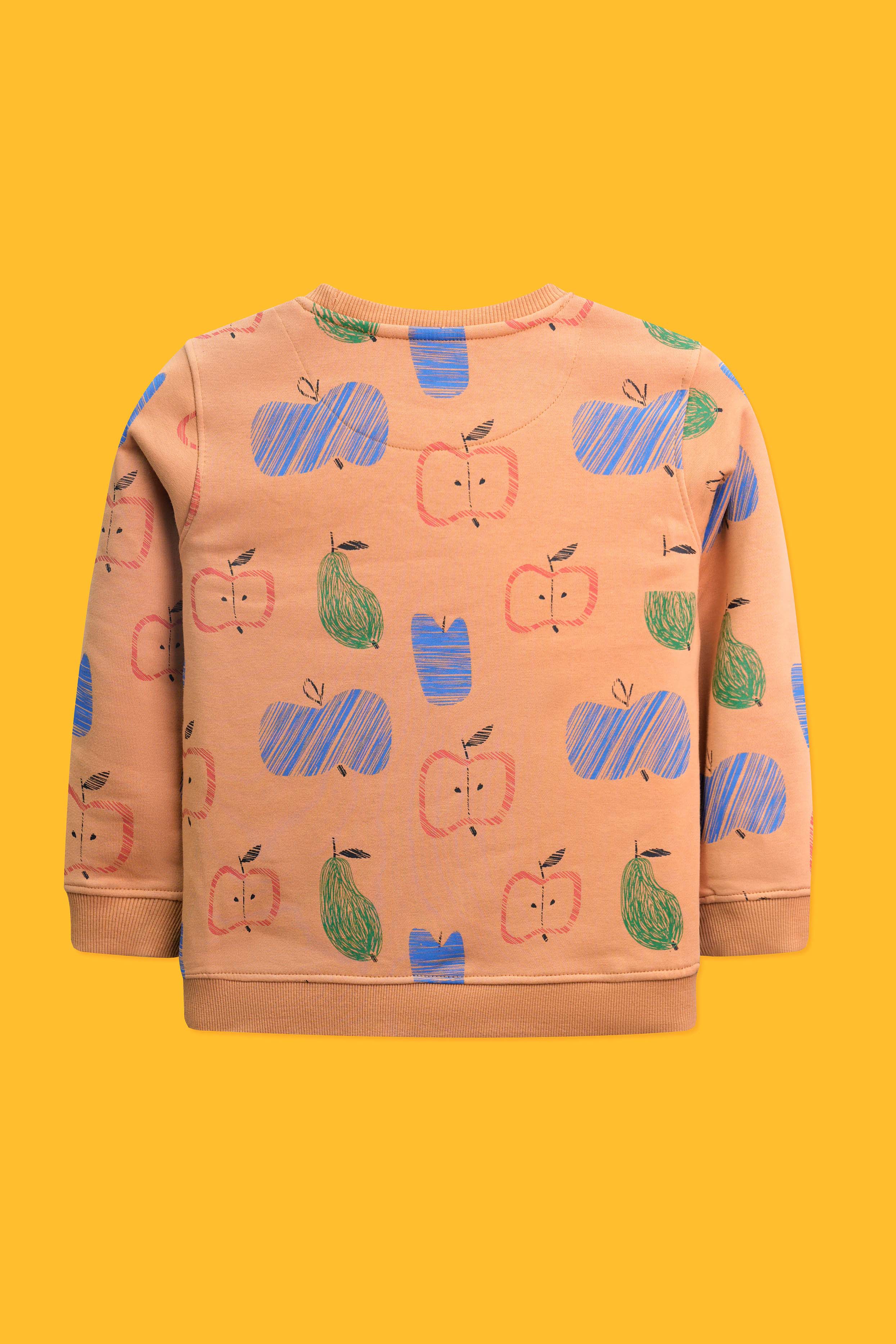 Little Boys Cozytop Sweatshirt - Marigold