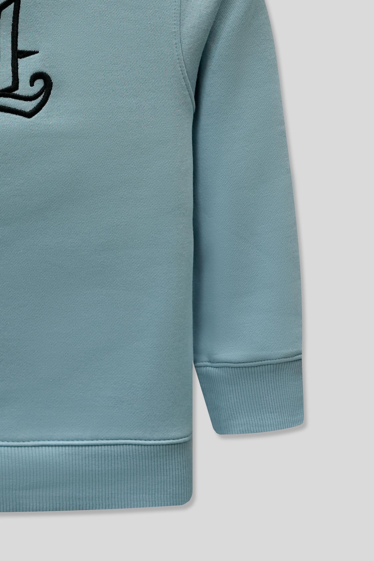 Little Boys’ Screen Print Sweatshirt - Aqua Splash