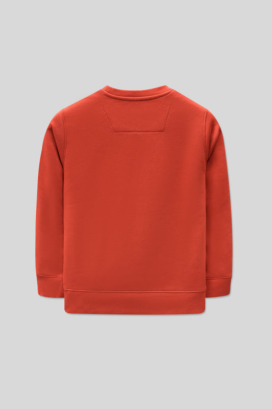 Boys Embroidered Sweatshirt - Rubiconda
