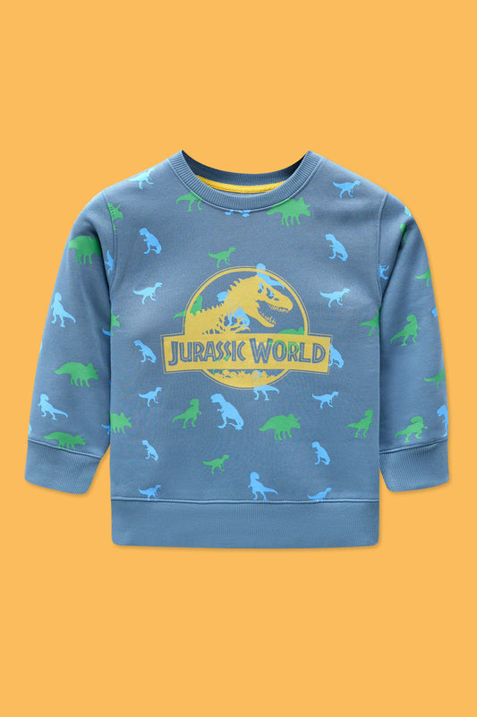 Little Boys Rotary Print Sweatshirt – Fungi