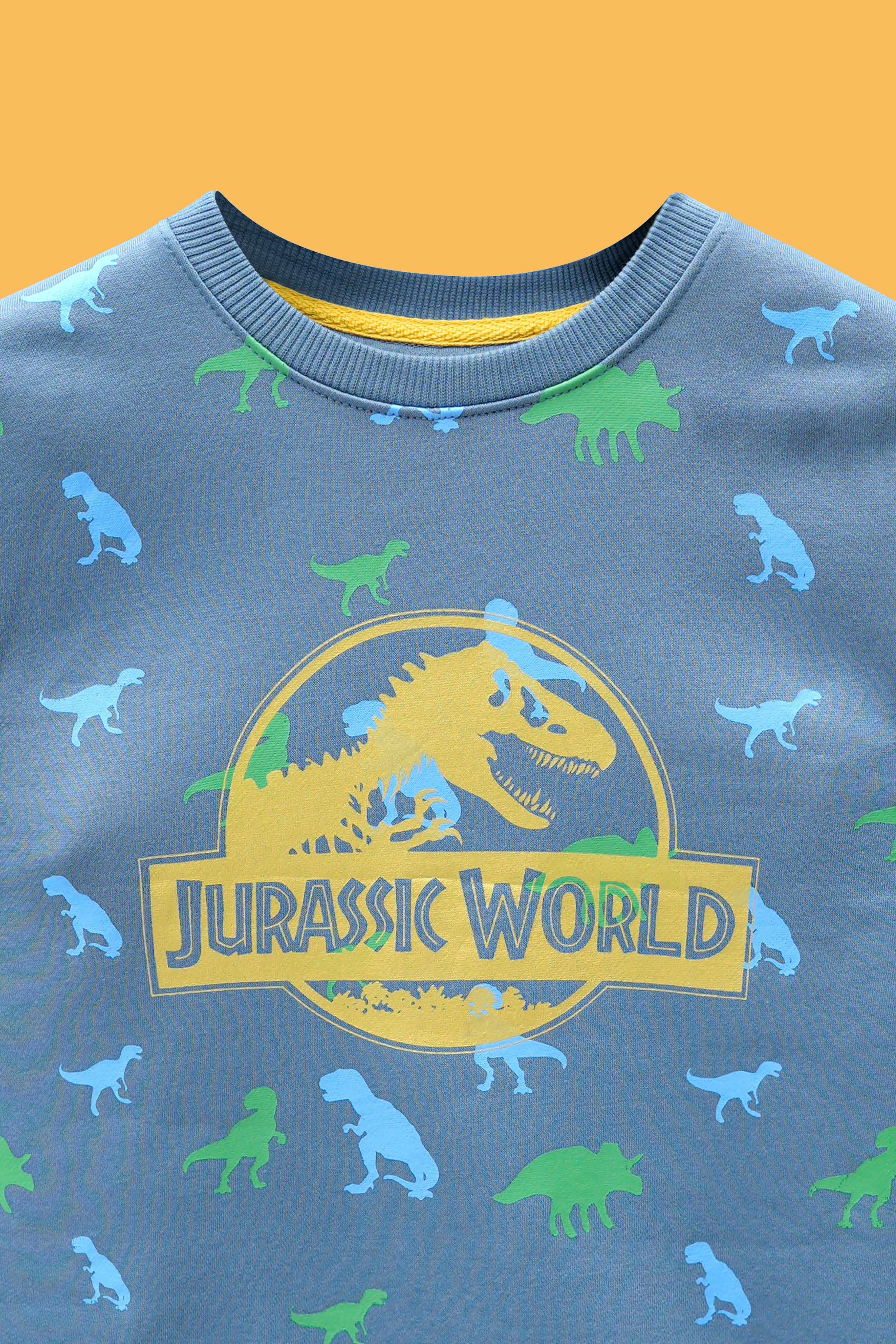 Little Boys Rotary Print Sweatshirt – Fungi