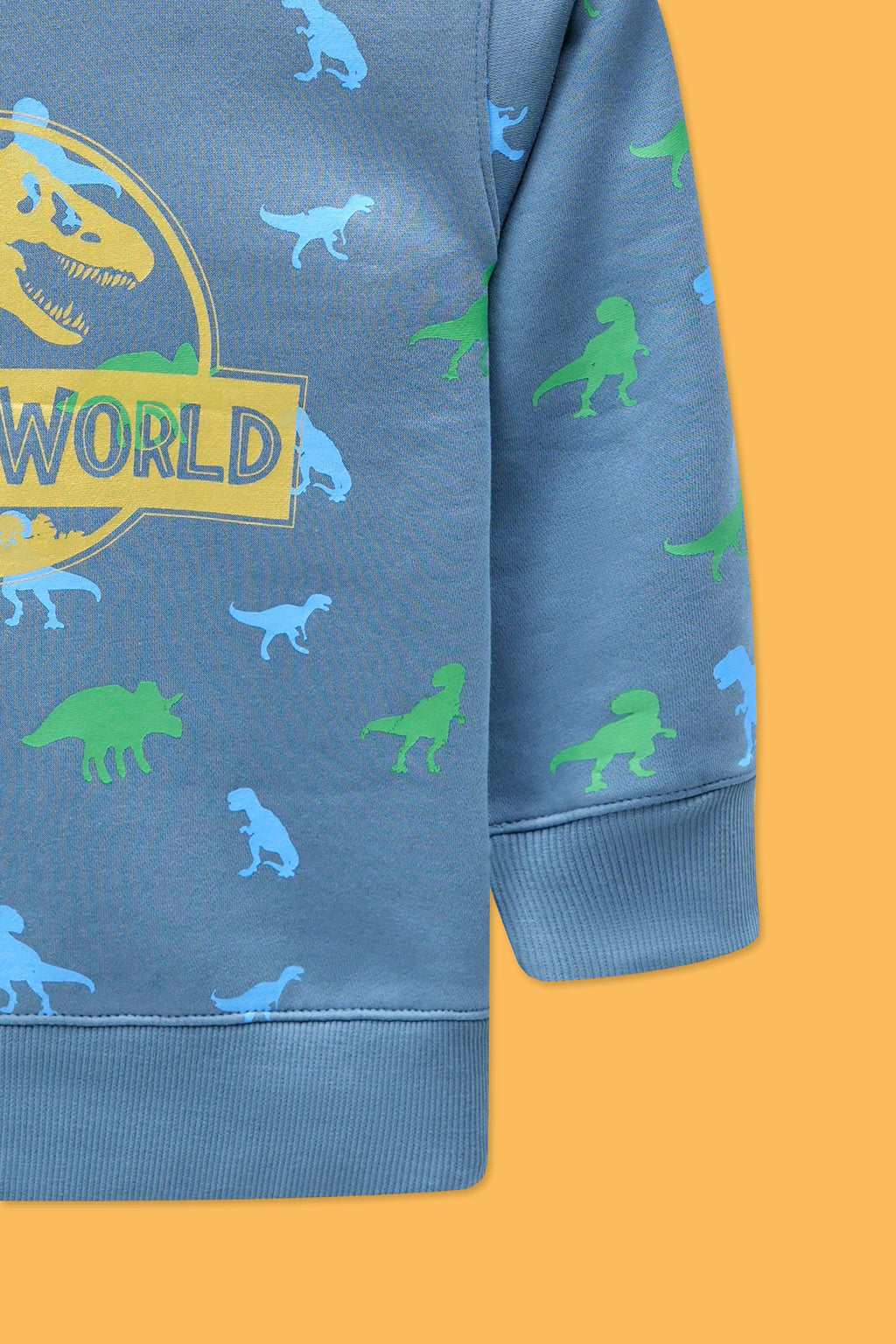 Little Boys Rotary Print Sweatshirt – Fungi