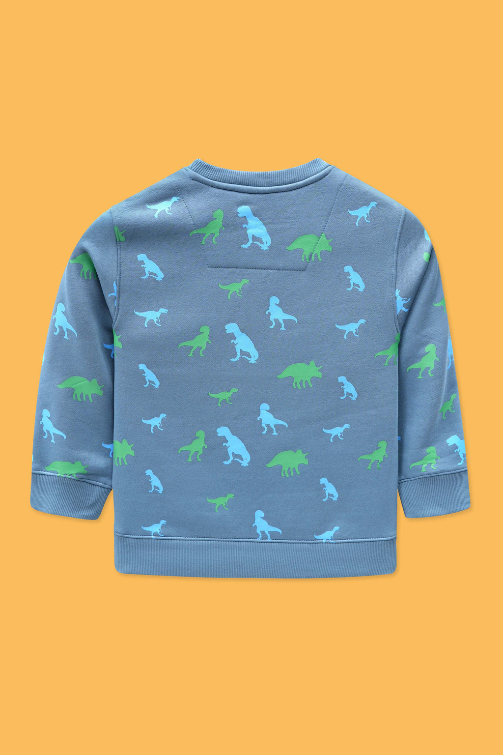 Little Boys Rotary Print Sweatshirt – Fungi