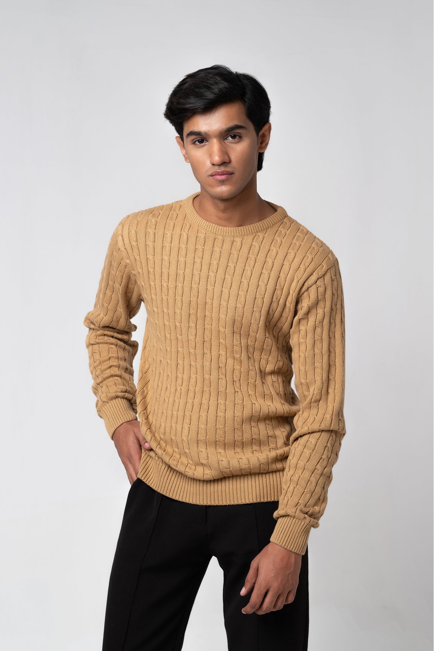 Men’s Crew Neck Cable Knit Sweater - Beige