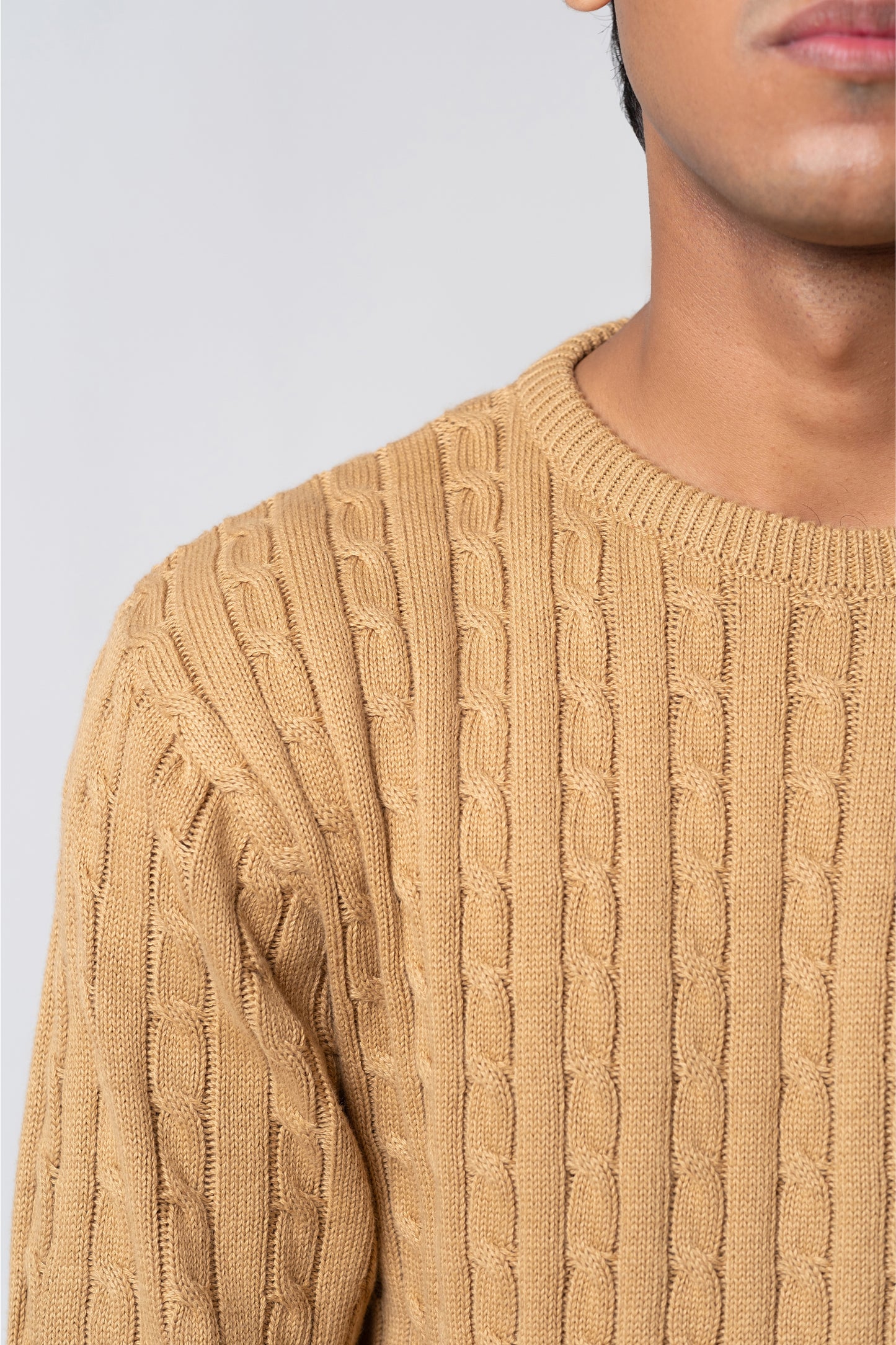 Men’s Crew Neck Cable Knit Sweater - Beige
