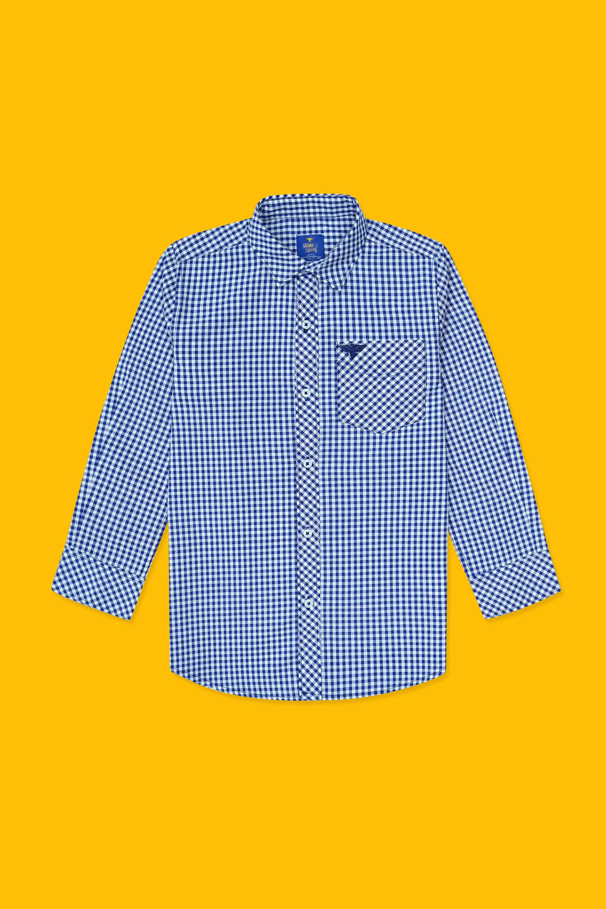 Boys’ Full Sleeves Casual Shirt - Blue & White