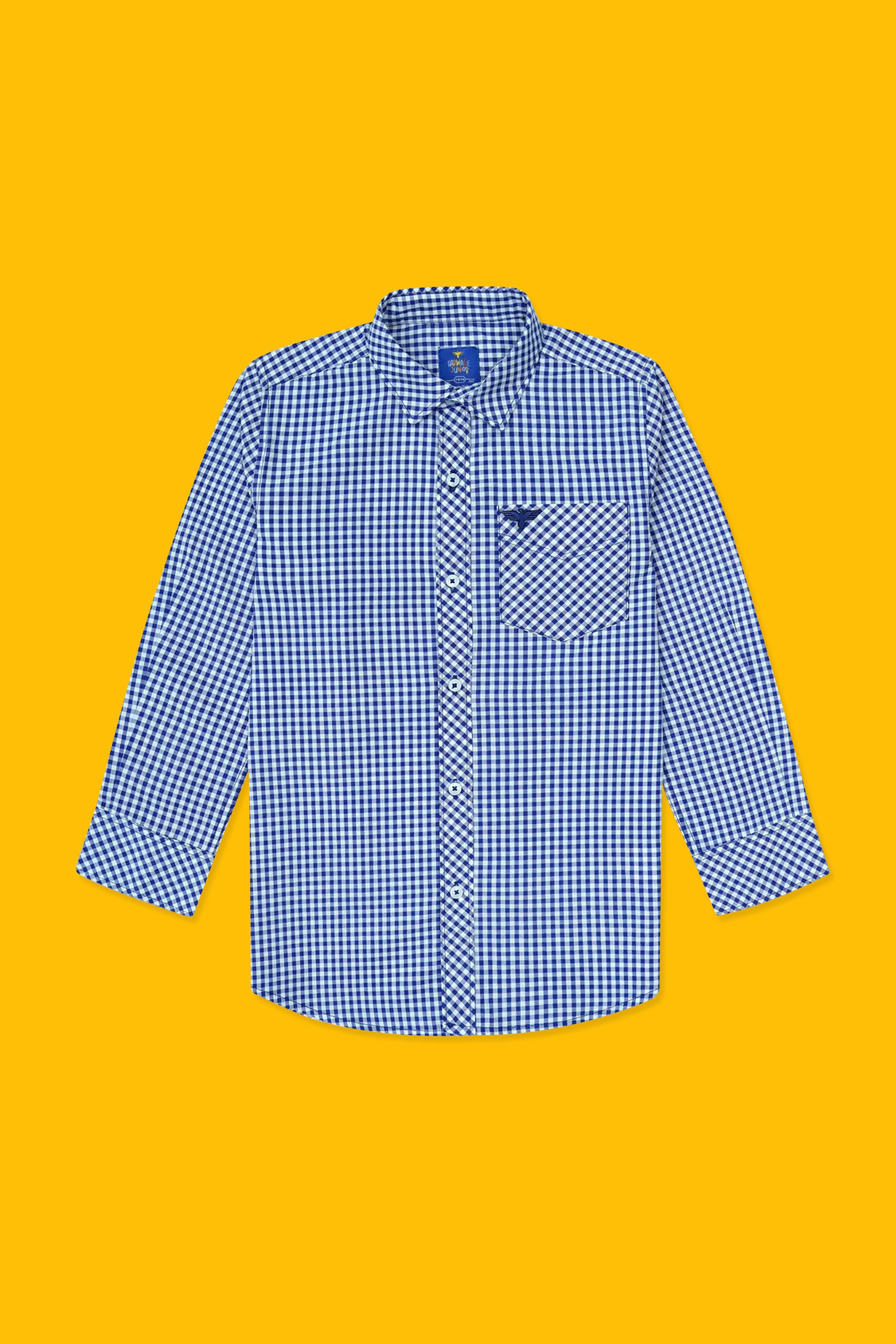Boys’ Full Sleeves Casual Shirt - Blue & White