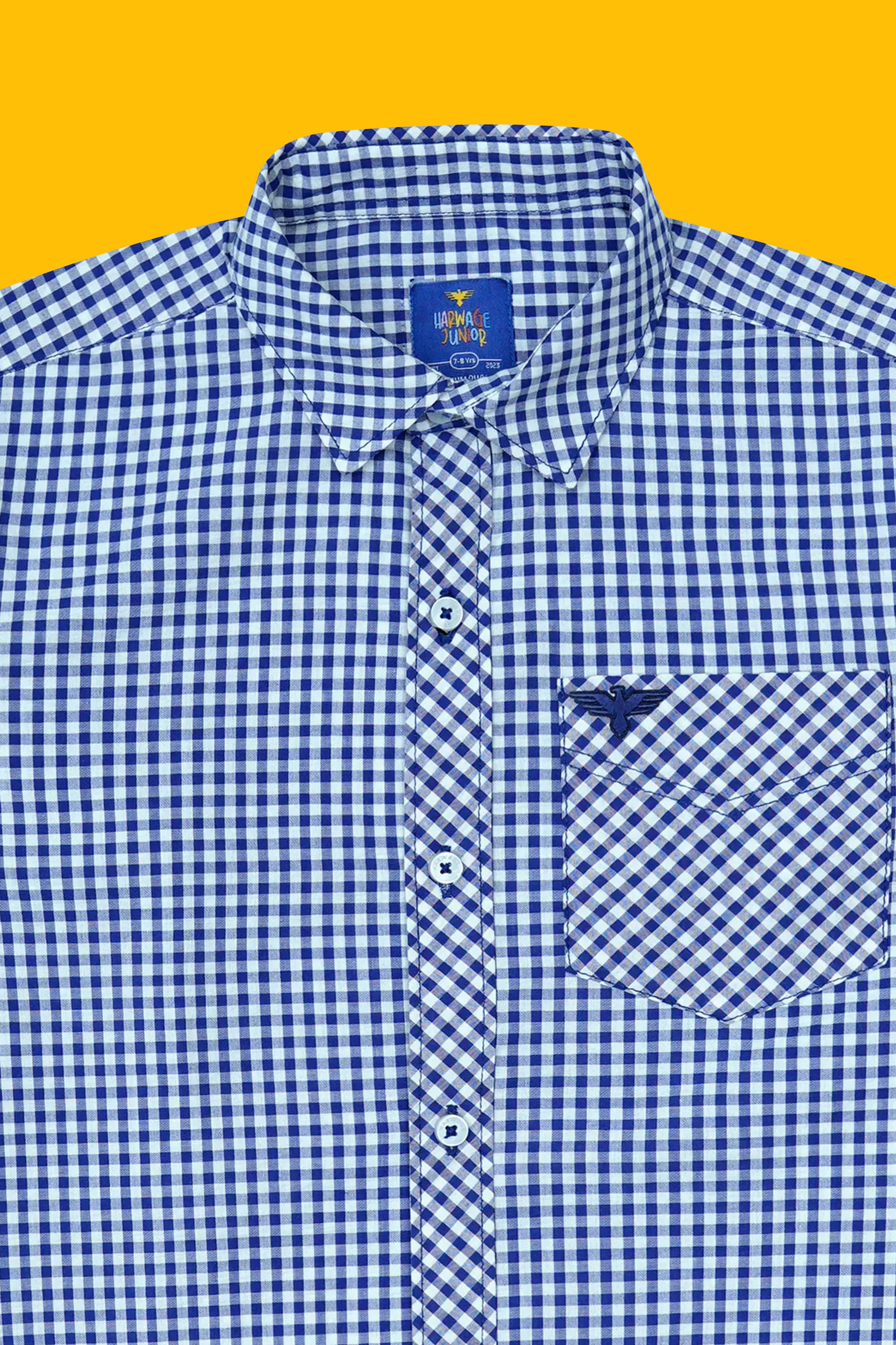 Boys’ Full Sleeves Casual Shirt - Blue & White