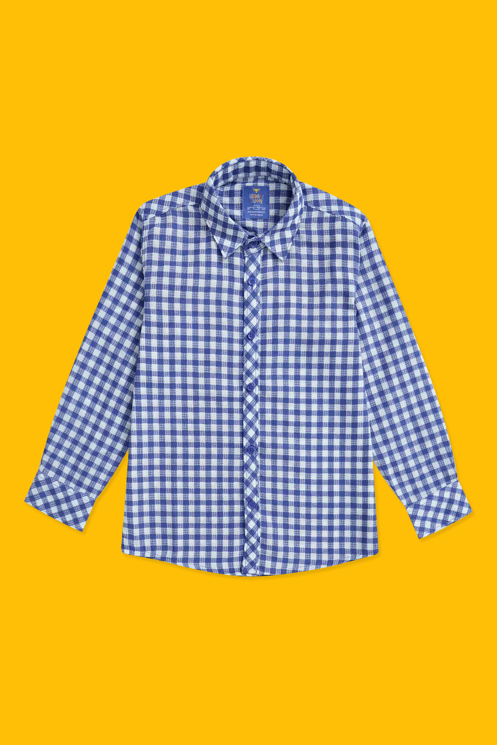 Boys Casual Shirts - Blue