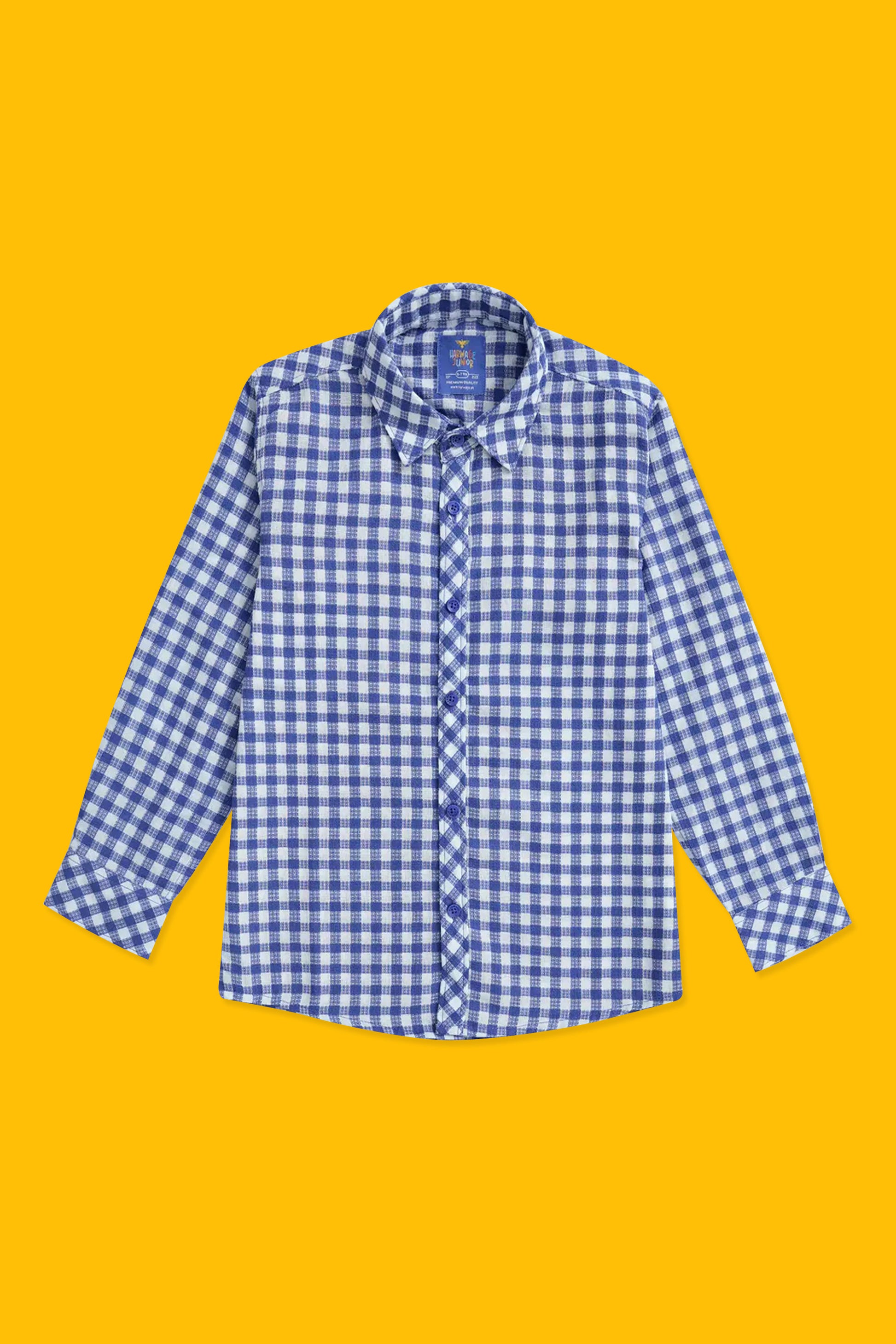 Boys Casual Shirts - Blue