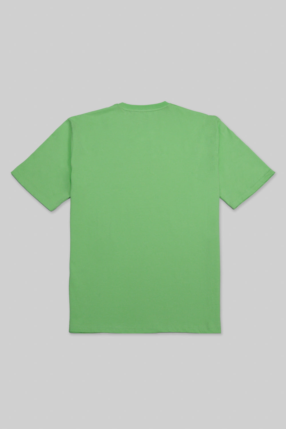 Round Neck Half Sleeves T-Shirt- Pistachio Green