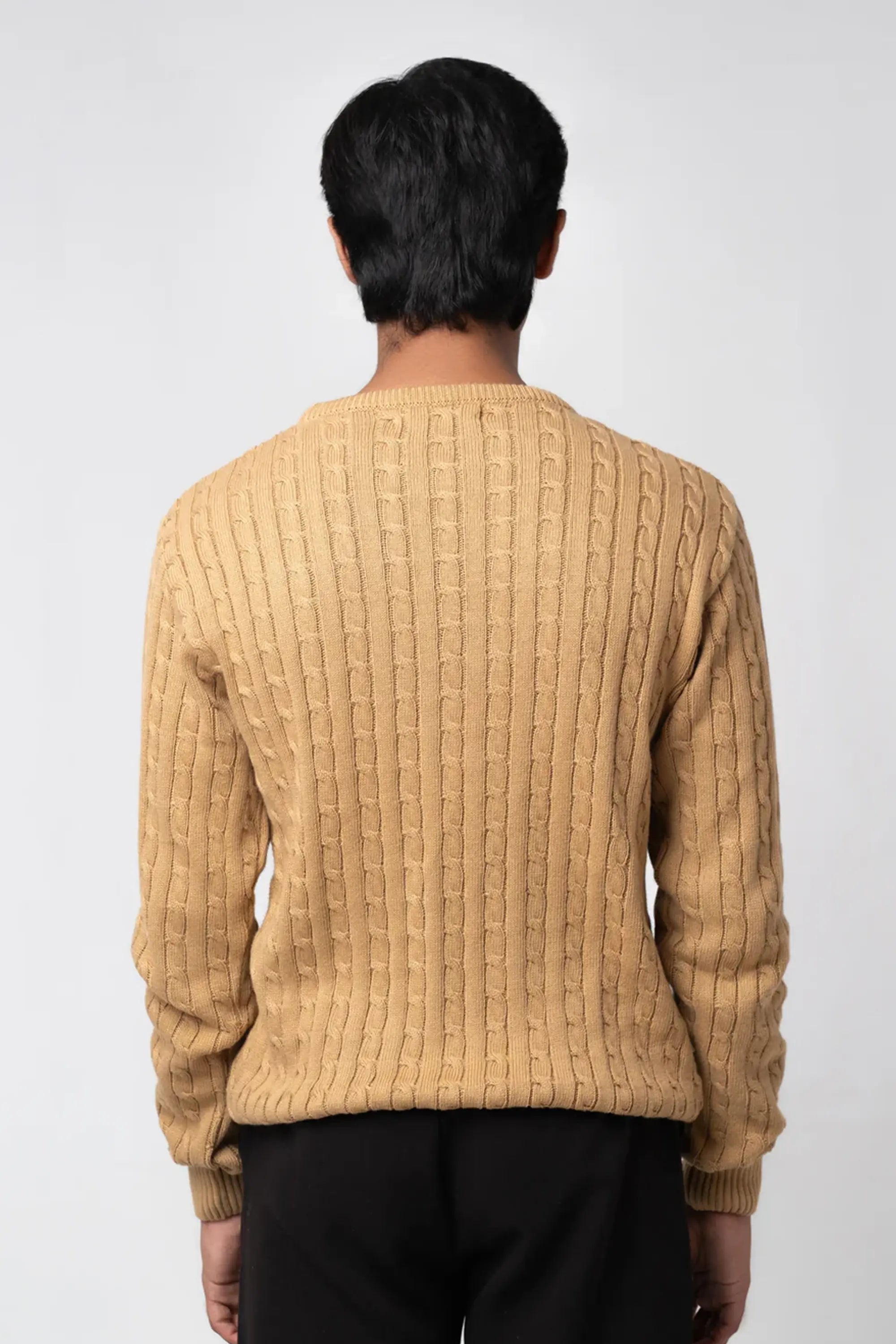 Back view of man wearing a beige Crew Neck Cable Knit Sweater