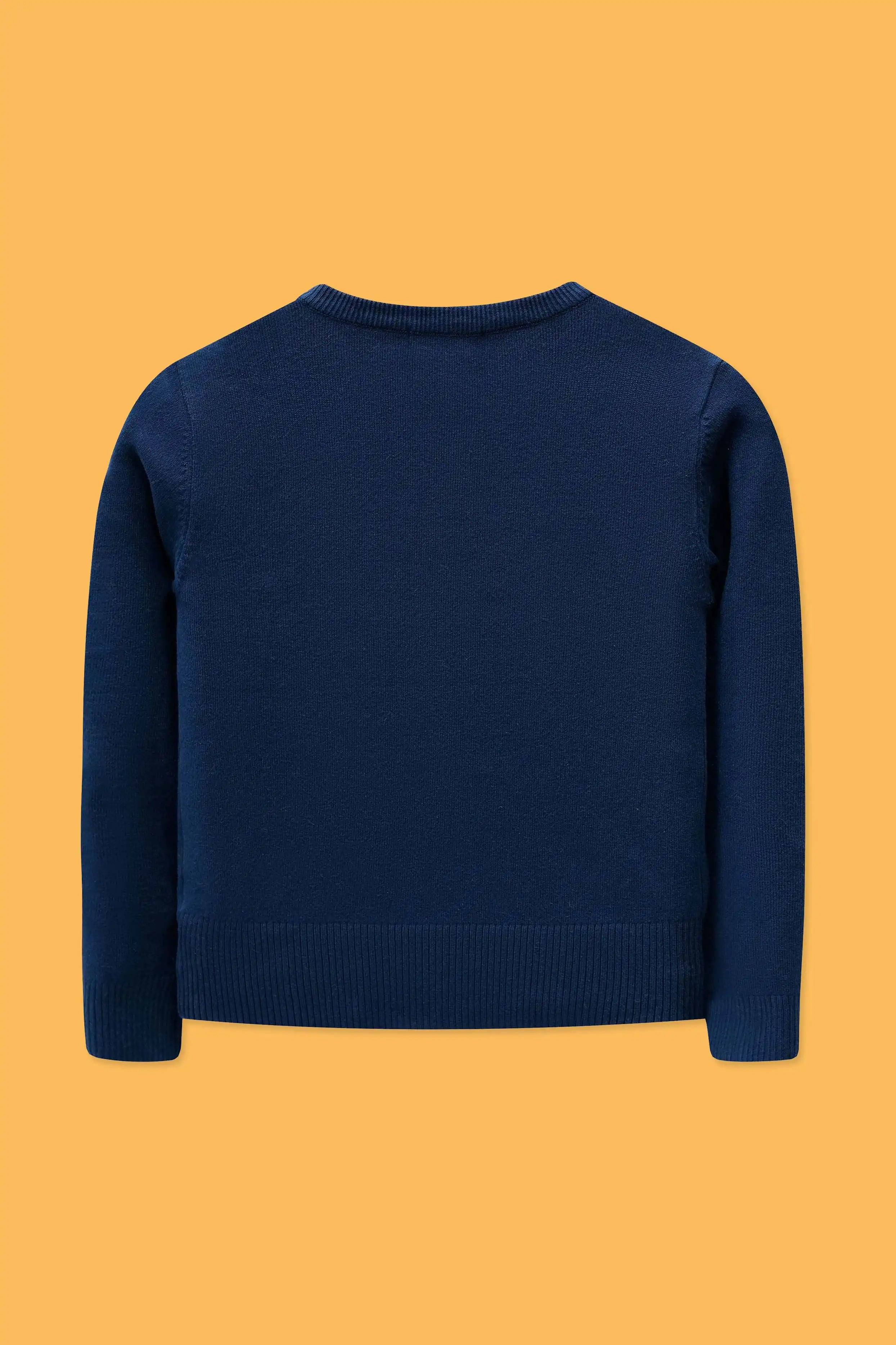 Back view of navy blue cardigan