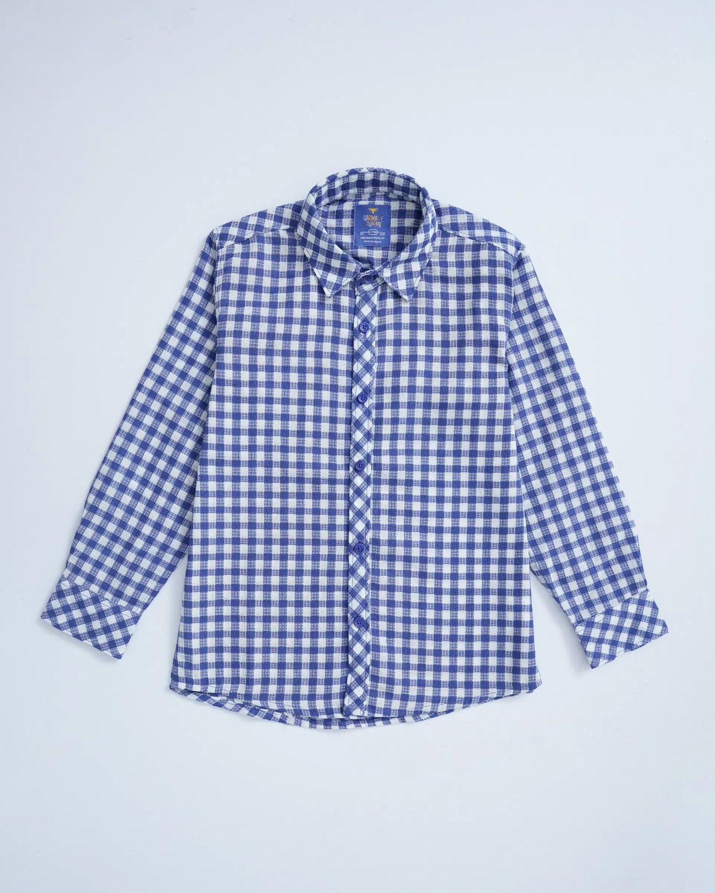 Boys Casual Shirts - Blue