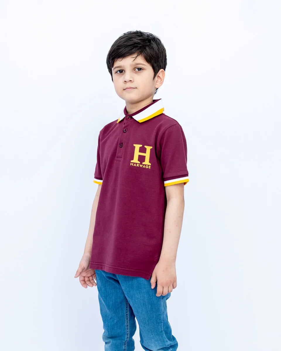 Boys’ Maroon Regular Fit Polo Shirt