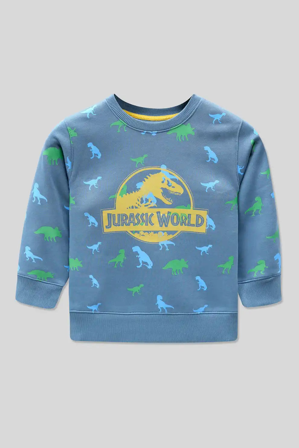 Boys’ Rotary Print Sweatshirt – Fungi