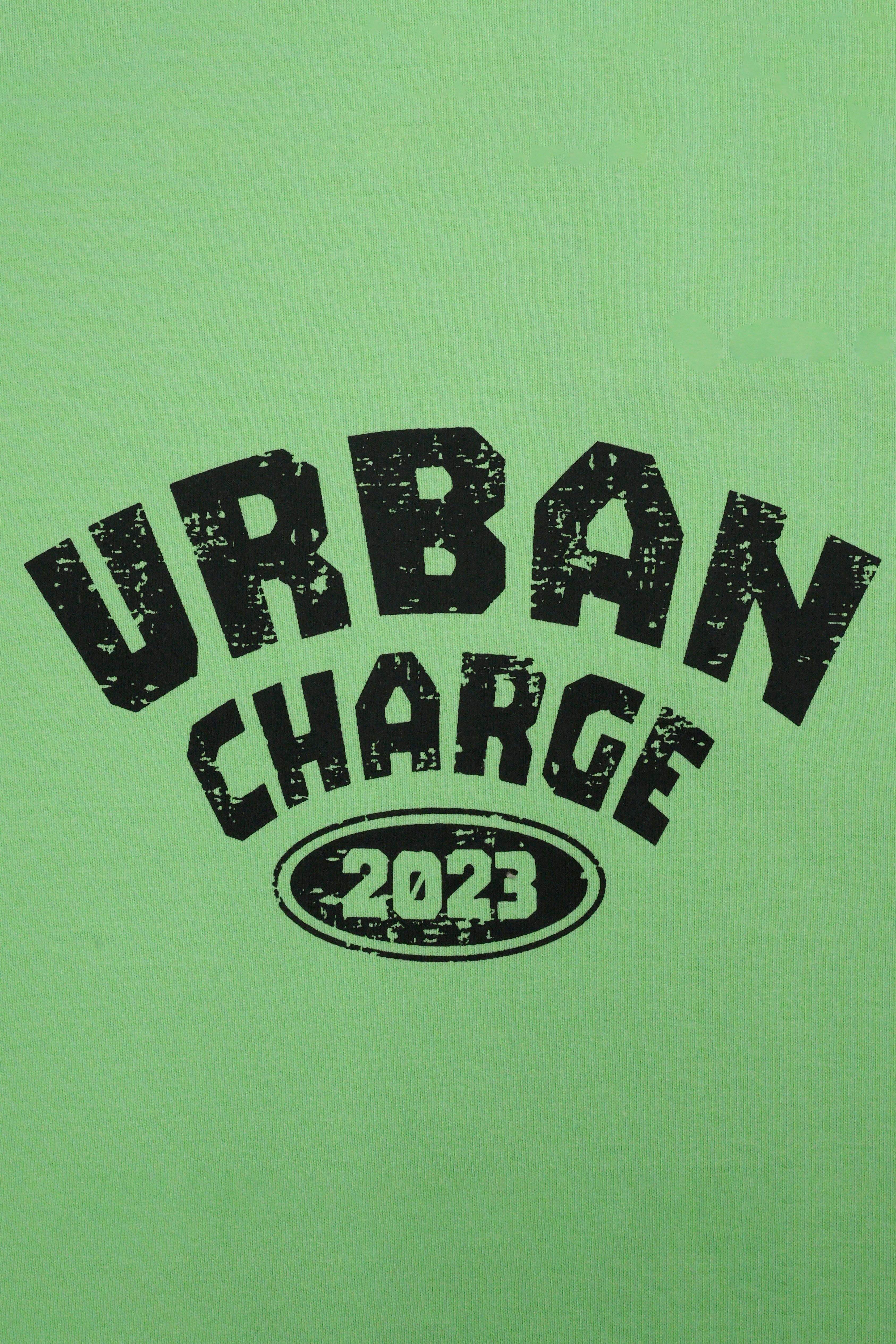Round Neck Half Sleeves T-Shirt- Pistachio Green