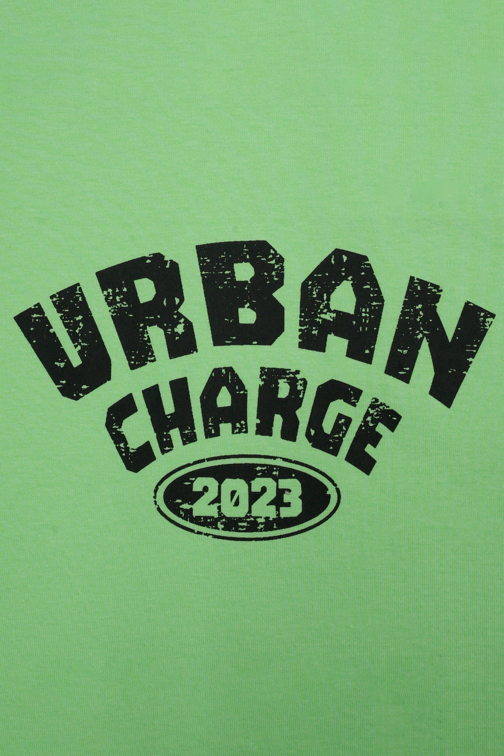 Round Neck Half Sleeves T-Shirt- Pistachio Green