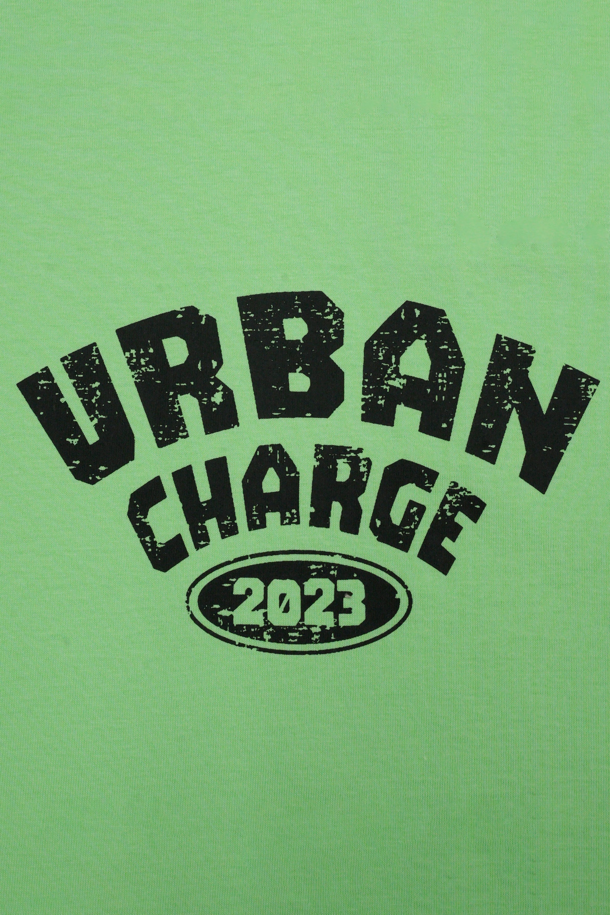 Round Neck Half Sleeves T-Shirt- Pistachio Green