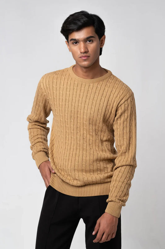 Man wearing a beige Crew Neck Cable Knit Sweater