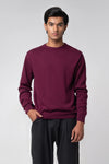 Front-facing pose wearing crew neck sweater maroon with dark trousers