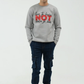 Men Printed Sweatshirt - Gray
