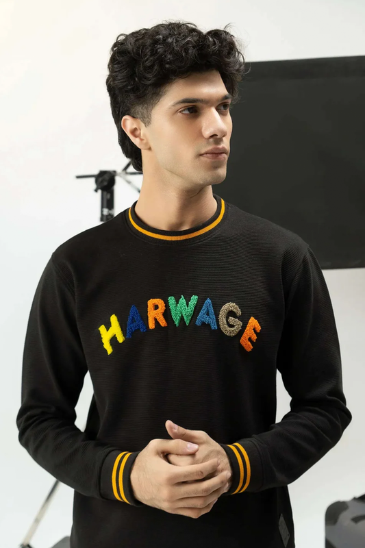 Men Regular Fit Sweatshirt - Black