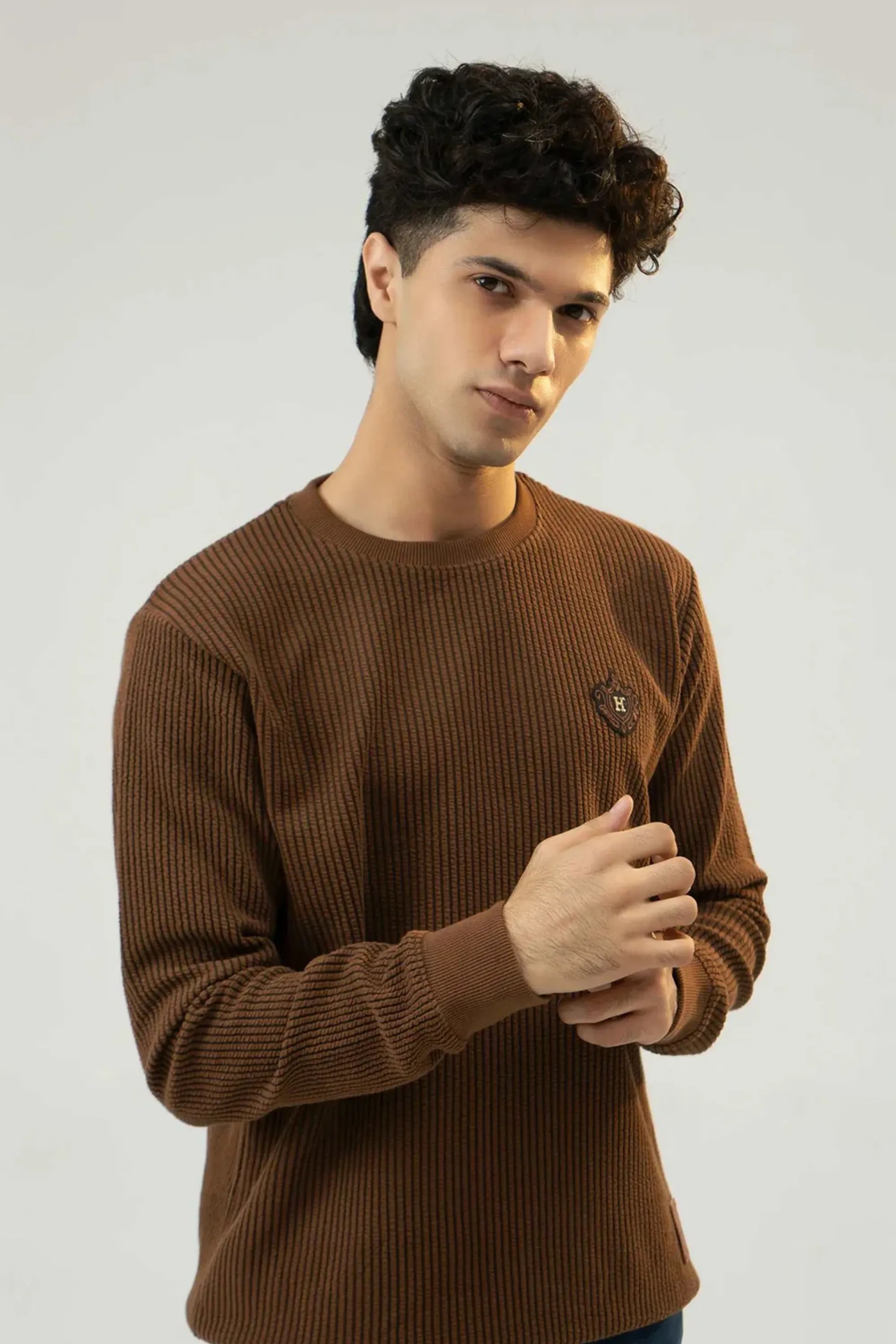 Model facing the camera wearing a Brown Regular Fit Sweatshirt with ribbed texture
