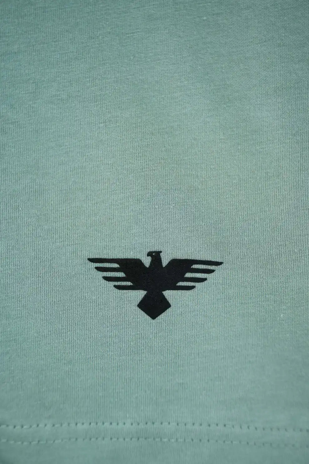 Teal shirt with a black eagle logo 