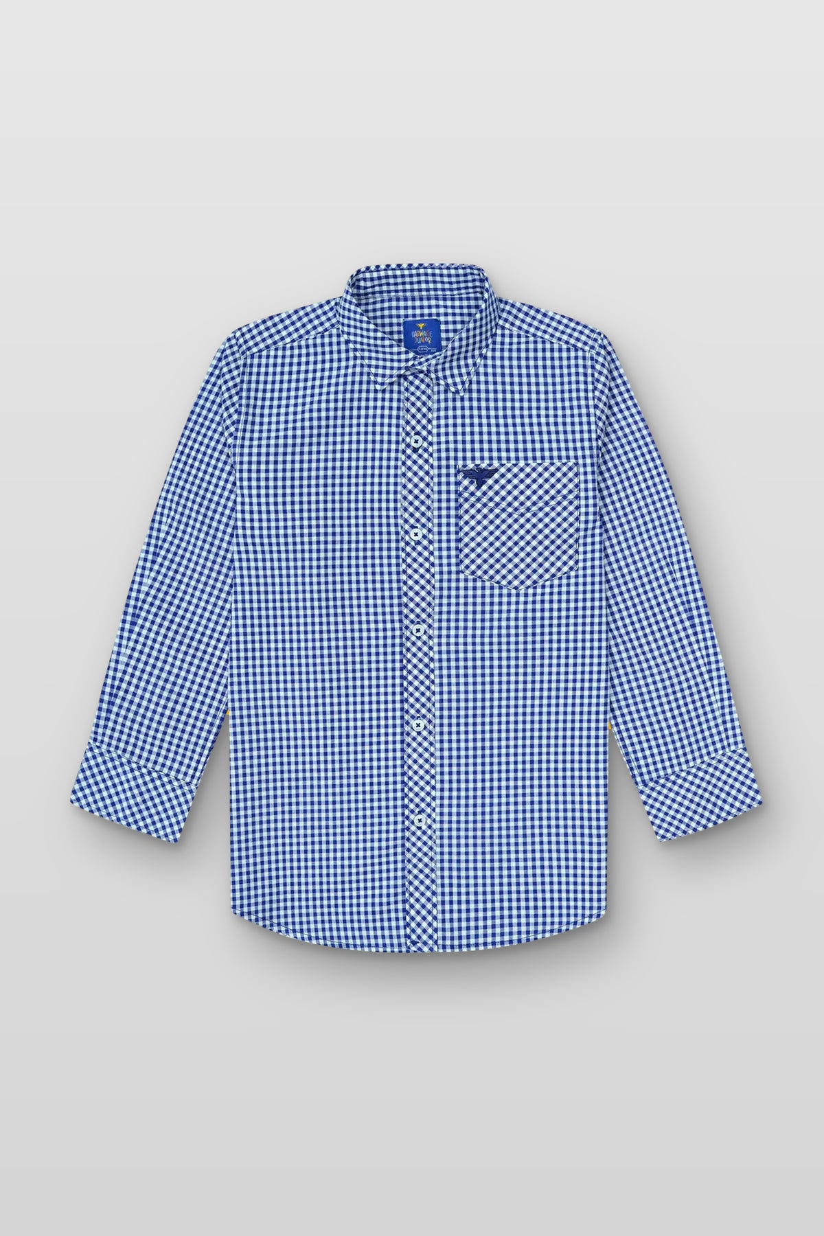 Boys’ Full Sleeves Casual Shirt - Blue & White