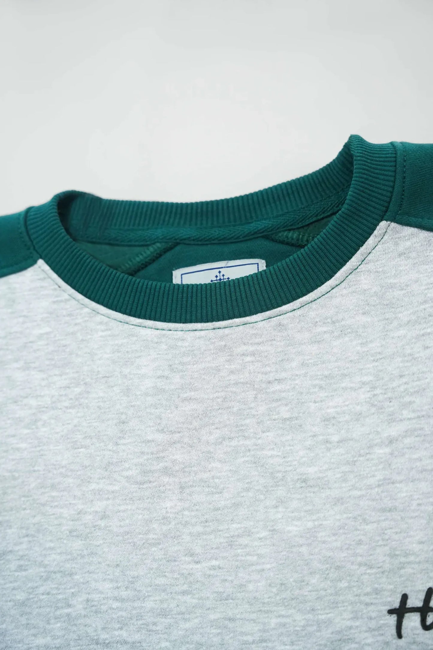 Close-up of a gray sweatshirt with green neckline on a light gray background