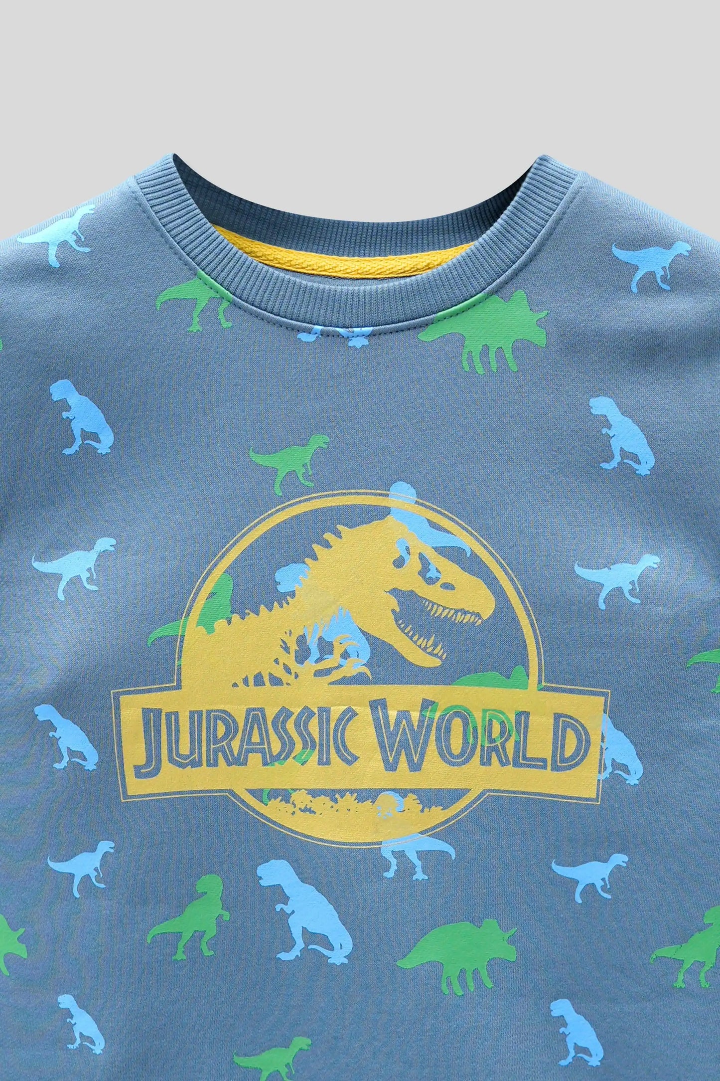 Children's sweatshirt with Jurassic World logo and dinosaur patterns